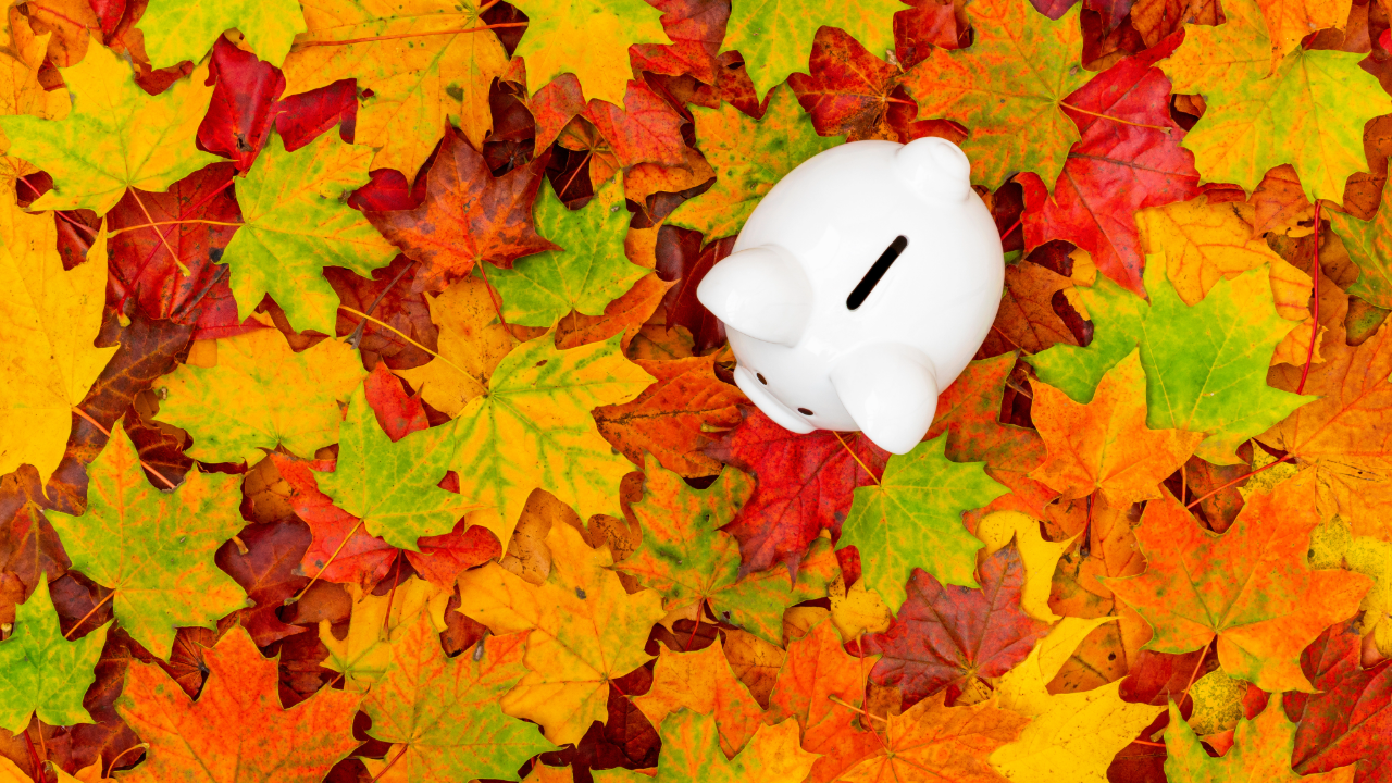 fall savings retail report nationwide marketing group