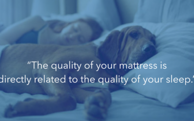 Mattress University: Industry Insights and Selling Strategies Presented by Scott Vaughn, Founder of Happy ZZZ’s and Wingo Coaching